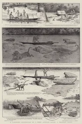 Kenu-expedíció egy nyugat-afrikai folyón, egy kereskedő története